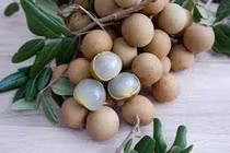 Lợi ích của quả nhãn đối với sức khỏe