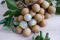 Lợi ích của quả nhãn đối với sức khỏe