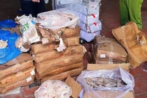 Tạm giữ gần 2,5 tấn thực phẩm đông lạnh không có hóa đơn