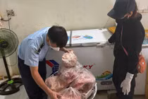 Tiêu hủy gần 400 kg thịt heo không rõ nguồn gốc ở Đắk Lắk