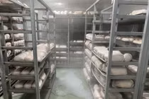 Phát hiện 100 tấn thịt heo cấp đông không rõ nguồn gốc, bốc mùi 