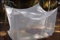 Tuần qua, TP HCM ghi nhận hơn 3.000 ca mắc sốt xuất huyết và tay chân miệng 