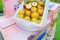 Tạm giữ hơn 250 kg trái cây nhập lậu để xử lý theo quy định