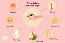 Hà Nội ghi nhận 150 trường hợp mắc sốt xuất huyết trong tuần qua