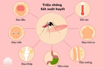 Hà Nội ghi nhận 150 trường hợp mắc sốt xuất huyết trong tuần qua