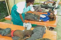 Bộ Y tế triển khai khẩn công tác phòng chống bệnh tả