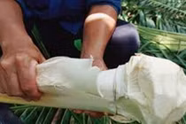 Cổ hũ dừa - món ăn "xa xỉ"