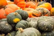 Loại thực phẩm tốt cho mắt, giảm nguy cơ mắc bệnh mãn tính 