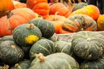 Loại thực phẩm tốt cho mắt, giảm nguy cơ mắc bệnh mãn tính 