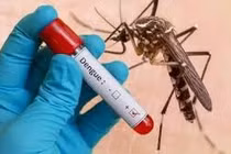 Thủ tướng yêu cầu tăng cường phòng, chống sốt xuất huyết
