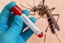 Thủ tướng yêu cầu tăng cường phòng, chống sốt xuất huyết