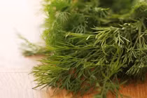 Tác dụng tuyệt vời của thì là trong chăm sóc sức khỏe