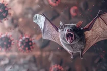 Bangladesh ghi nhận ca tử vong do virus Nipah