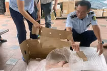 Hà Nội thu giữ gần 1 tấn chân gà, thịt trâu bẩn 