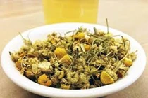 Lô dược liệu Cúc hoa vàng của Hợp tác xã dược liệu Ninh Hiệp bị thu hồi