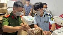 Gần 4 tấn thực phẩm tại Thịnh Phát Food không xuất xứ