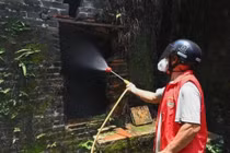 Bộ Y tế yêu cầu giám sát, phòng chống dịch bệnh Chikungunya