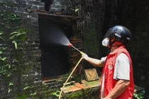 Bộ Y tế yêu cầu giám sát, phòng chống dịch bệnh Chikungunya