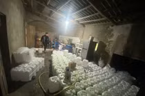 Lào Cai phát hiện gần 900 lít rượu không rõ nguồn gốc khi kiểm tra đột xuất