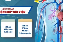 Quy trình 'báo động đỏ' giúp kíp mổ cứu sống bệnh nhân vỡ tim nguy hiểm