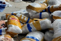 Phát hiện 700 kg mực khô bốc mùi vứt bỏ trên vỉa hè Đà Nẵng