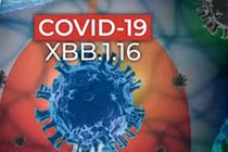 Dấu hiệu cần lưu ý khi mắc Covid-19 do biến thể XBB.1.16