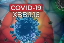 Dấu hiệu cần lưu ý khi mắc Covid-19 do biến thể XBB.1.16