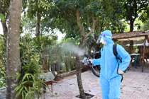 Hà Nội số ca sốt xuất huyết trong tuần giảm mạnh