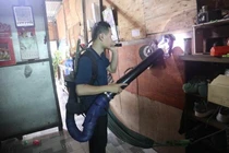 Toàn tỉnh Khánh Hòa ghi nhận hơn 6.170 ca mắc sốt xuất huyết, 2 ca tử vong