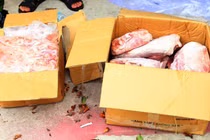 Ngăn hơn 11 tấn thịt "quá đát" chuẩn bị tuồn ra thị trường