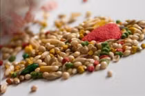 Cứu trẻ 13 tuổi uống thuốc diệt chuột Bromadiolone do giận mẹ