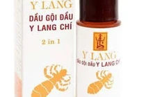  Lô dầu gội Y Lang trị chấy, rận bị thu hồi toàn quốc