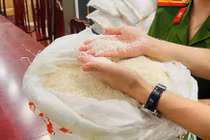 Trên thị trường không có gạo giả mà chỉ giả thương hiệu
