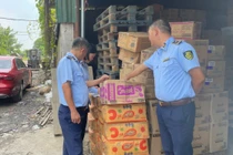 Xử phạt 70 triệu đồng doanh nghiệp nhập lậu thực phẩm ở Long Biên