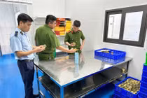 Phú Thọ tạm giữ hơn 23.000 lọ yến chưng nghi kém chất lượng