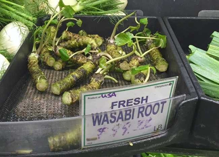 wasabi2.jpg