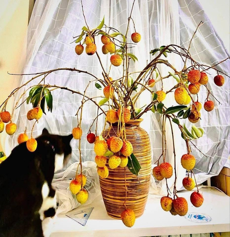 Mới đây nhất, thú chơi cành quả vải độc đáo đang khiến hội chị em thích thú. Ảnh: FB Thuỳ Tây&apos;s