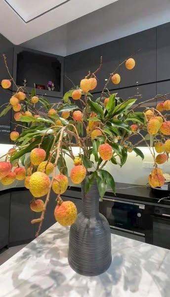 Giá cành vải khá đa dạng, tùy thuộc vào kích thước. Cành vải nhỏ giá dao động từ 50.000 - 100.000 đồng/cành. Ảnh: FB Ngọc Huyền