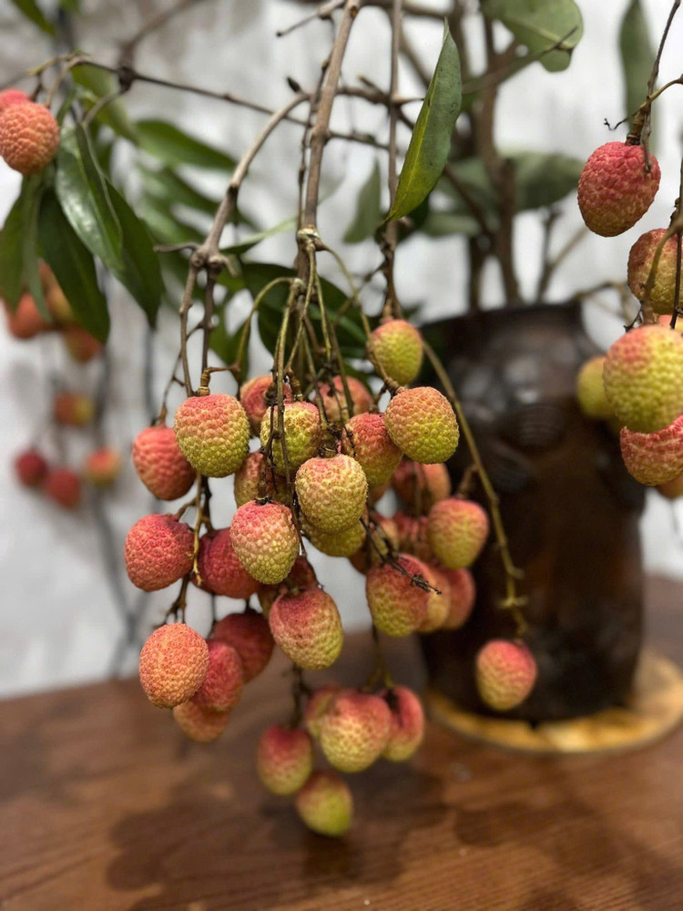 Cành quả vải đẹp lạ, đầy chất thơ là &quot;hoa trái&quot; cho những ai mê sự tinh tế và có gu chọn lựa. Ảnh: Facebook