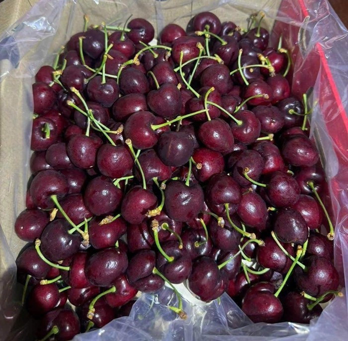 cherry1.jpg