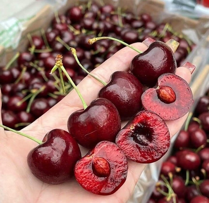 cherry7.jpg