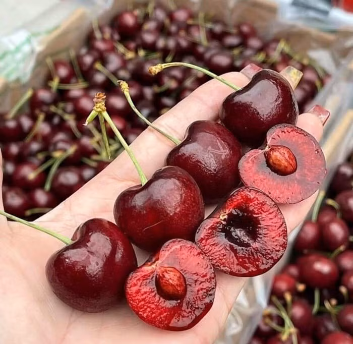 cherry7.jpg