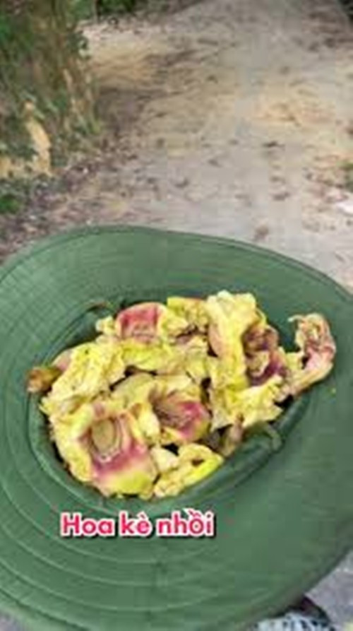 hoa-ke9.jpg