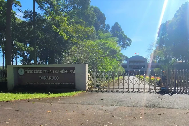 Sai phạm tài chính tại Tổng Công ty Cao su Đồng Nai