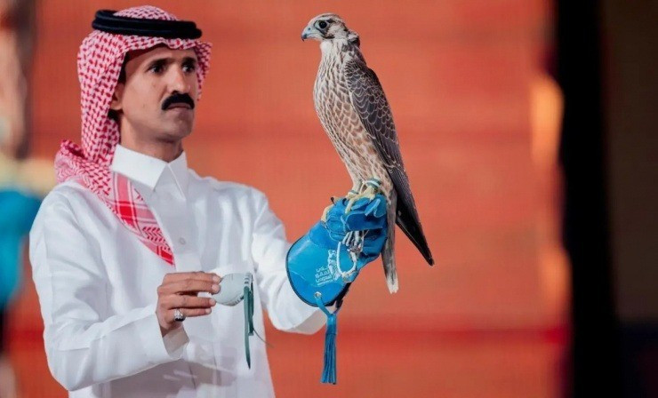 Vào tháng 11/2025, một con chim ưng đã được bán với giá 351.000 SR (hơn 2,4 tỷ đồng) tại Cuộc đấu giá của Câu lạc bộ chim ưng Saudi lần thứ 25, trở thành con chim ưng đắt thứ 3 được bán tại sự kiện năm nay.