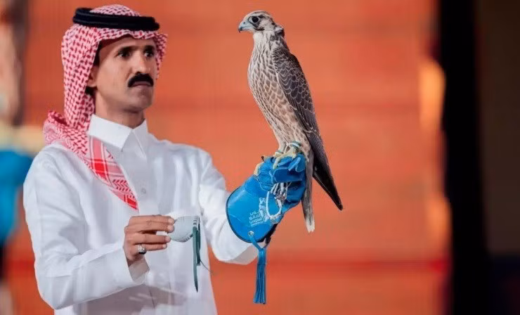 Vào tháng 11/2025, một con chim ưng đã được bán với giá 351.000 SR (hơn 2,4 tỷ đồng) tại Cuộc đấu giá của Câu lạc bộ chim ưng Saudi lần thứ 25, trở thành con chim ưng đắt thứ 3 được bán tại sự kiện năm nay.