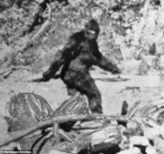 bigfoot-5-1.jpg