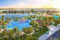 The Swan Lake - Bản giao hưởng của nhịp sống và cảm hứng