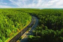 VnExpress Marathon Green Paradise Cần Giờ có đường chạy xanh nhất trong hệ thống VnExpress Marathon