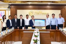 T&T Group đề xuất nghiên cứu đầu tư nhiều dự án chiến lược, đột phá tại Cà Mau